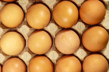 Raw chicken eggs in cardboard egg box close-up