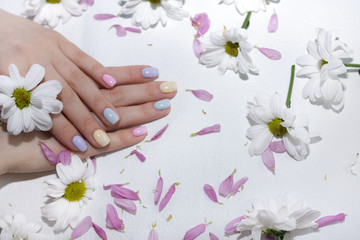 well-groomed, manicured fingers in pastel colors of the hand lie in the cut of petals and in the color of chrysanthemum