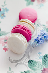 Pink and White Macaron’s on a pretty background