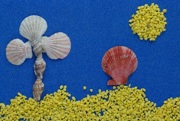 Summer composition with shells on blue glitter background