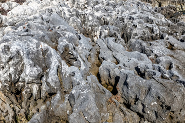 Rugged limestone sea rocks