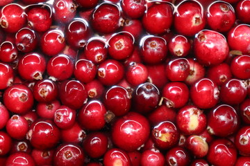 : red cherry background of cherries