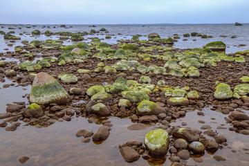 rocky island beach