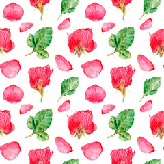 watercolor drawing flowers in a cut, rose, seamless pattern