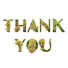 Cut out word Thank You with growing plant inside