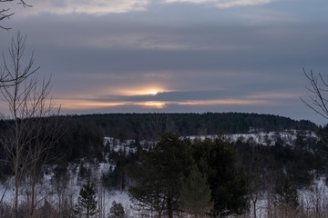 Winter early morning sky forest 