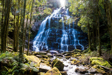 Montezuma Falls -  Tasmanien