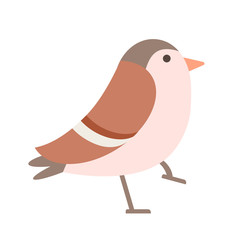brown forest bird flat illustration