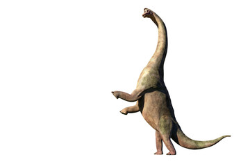 Brachiosaurus altithorax from the Late Jurassic in action (3d illustration isolated on white background) © dottedyeti
