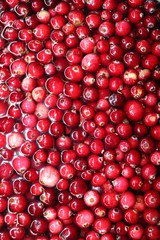 cranberries background
