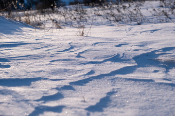winter trail snow morning