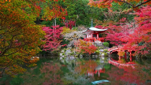 Daigo-ji temple with colorful maple trees in autumn at Kyoto,Japan