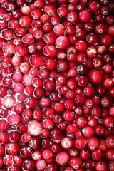: red cherry background of cherries