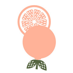 citrus flat illustration