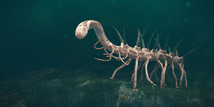 Hallucigenia, prehistoric aquatic animal from the Cambrian Period (3d paleoart illustration)