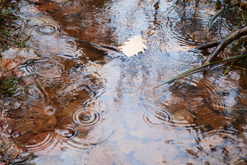 under the rain