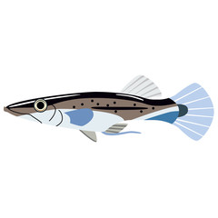 grey fish flat illustration