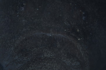 Fptpgrafia submarina