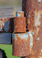 Alte rostige Türangel