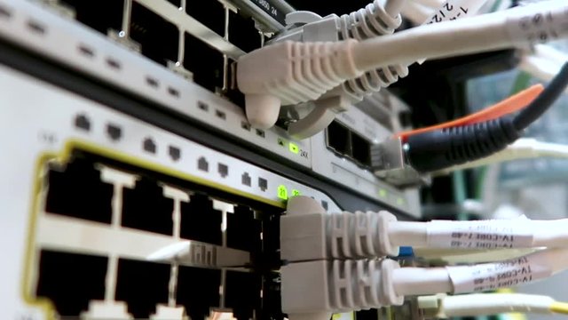 Male hand inserts the date cable into the Internet router, a close-up. Indication of operation of the network equipment. Concept 3.0