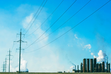 plant and power lines against the sky