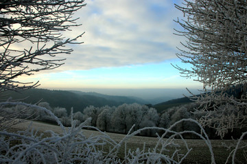 Winterlandschaft im Odenwald
