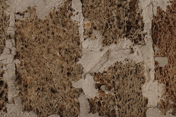 Masonry. The texture of the block.