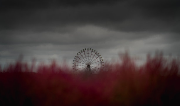 abandoned amusement park