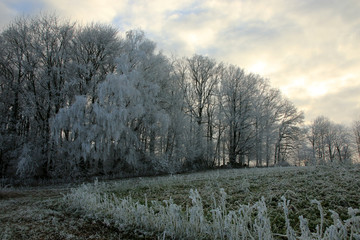 Winterlandschaft im Odenwald