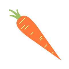 carrot flat simple illustration