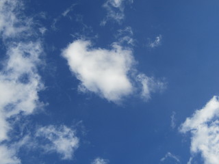 Fototapeta premium blue sky with white clouds