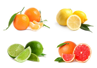 Set of different fresh ripe citrus fruits on white background