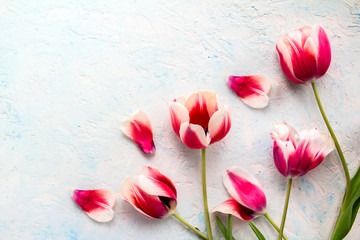 Pink Red  tulips over wooden table