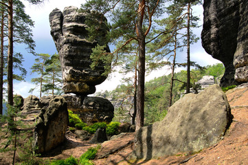 Hickelkopf in der S&auml;chsischen Schweiz