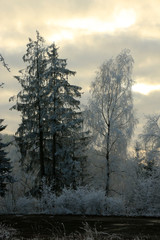 Winterlandschaft im Odenwald