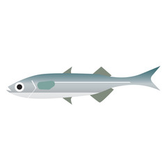 fish isolated flat style illustration