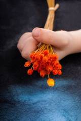 Bunch of dried orange color flower in hand