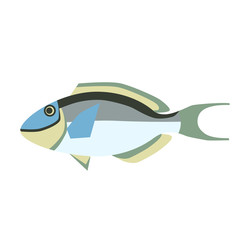 tropical fish flat style illustration