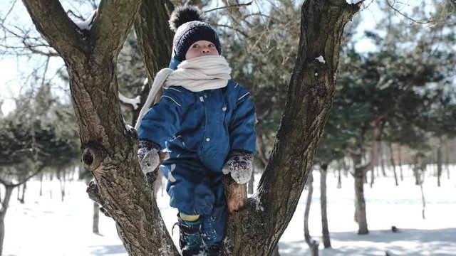 A boy of 2-3 years old, warmly dressed in a jumpsuit and wrapped up in a scarf, climbed a tree. Winter walk through the snowy forest.
