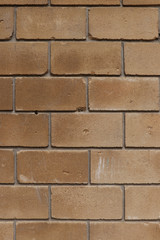 Masonry. The texture of the block.