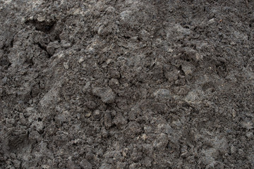 dark soil background