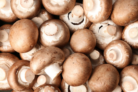 Fresh champignon mushrooms as background, top view