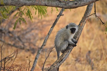 Obraz premium Staying dry