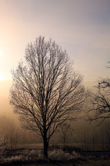 Winterlandschaft im Odenwald