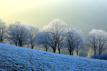 Winterlandschaft im Odenwald