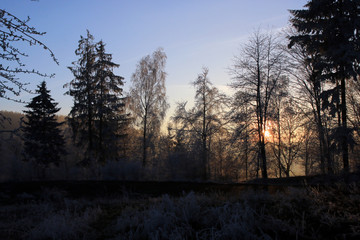 Winterlandschaft im Odenwald