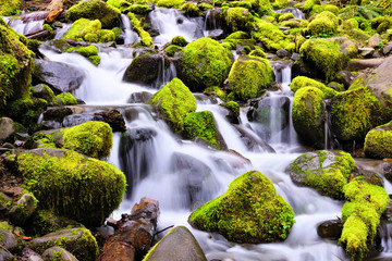 Small cascade over mossy rocks, Sol Duc Falls, Olympic National Park, Washington, USA