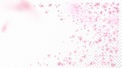 Nice Sakura Blossom Isolated Vector. Pastel Flying 3d Petals Wedding Paper. Japanese Style Flowers Illustration. Valentine, Mother's Day Tender Nice Sakura Blossom Isolated on White