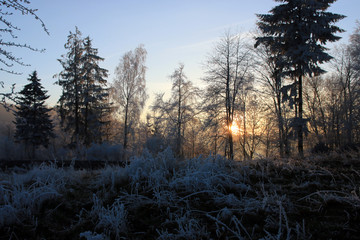 Winterlandschaft im Odenwald
