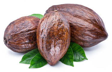 Cocoa pods with cocoa leaves isolated on a white background.